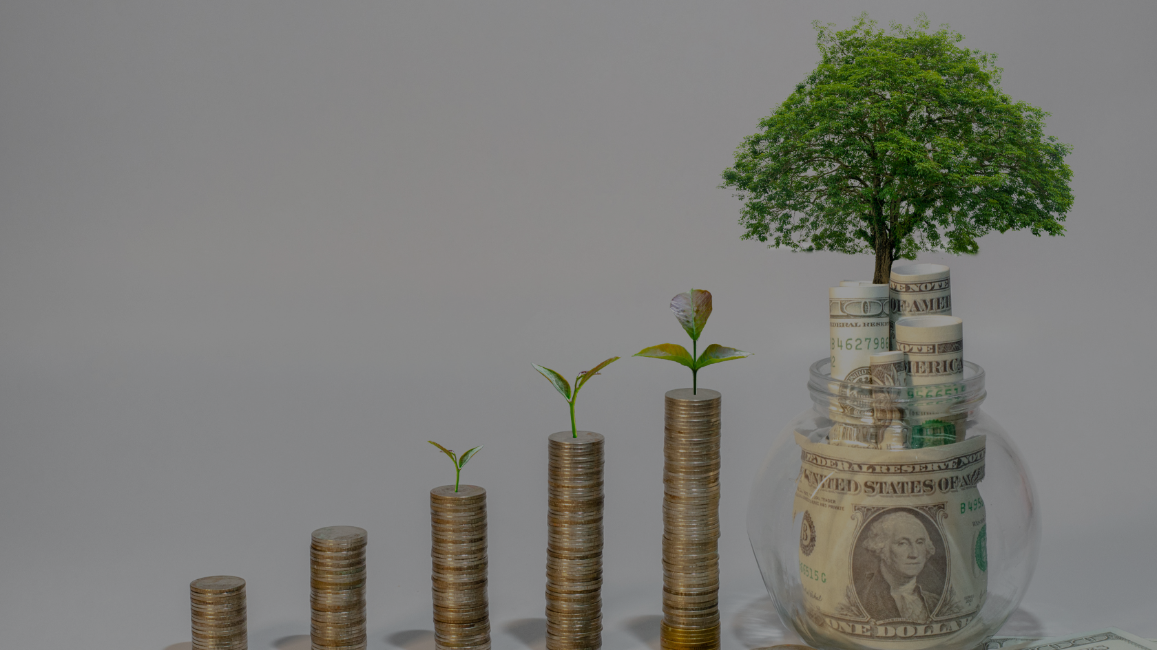 Empowering Financial Growth